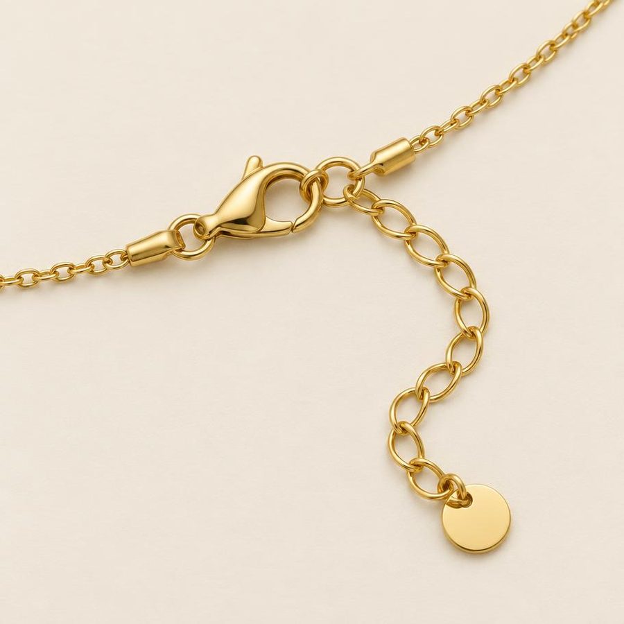Clasp and extension chain detail